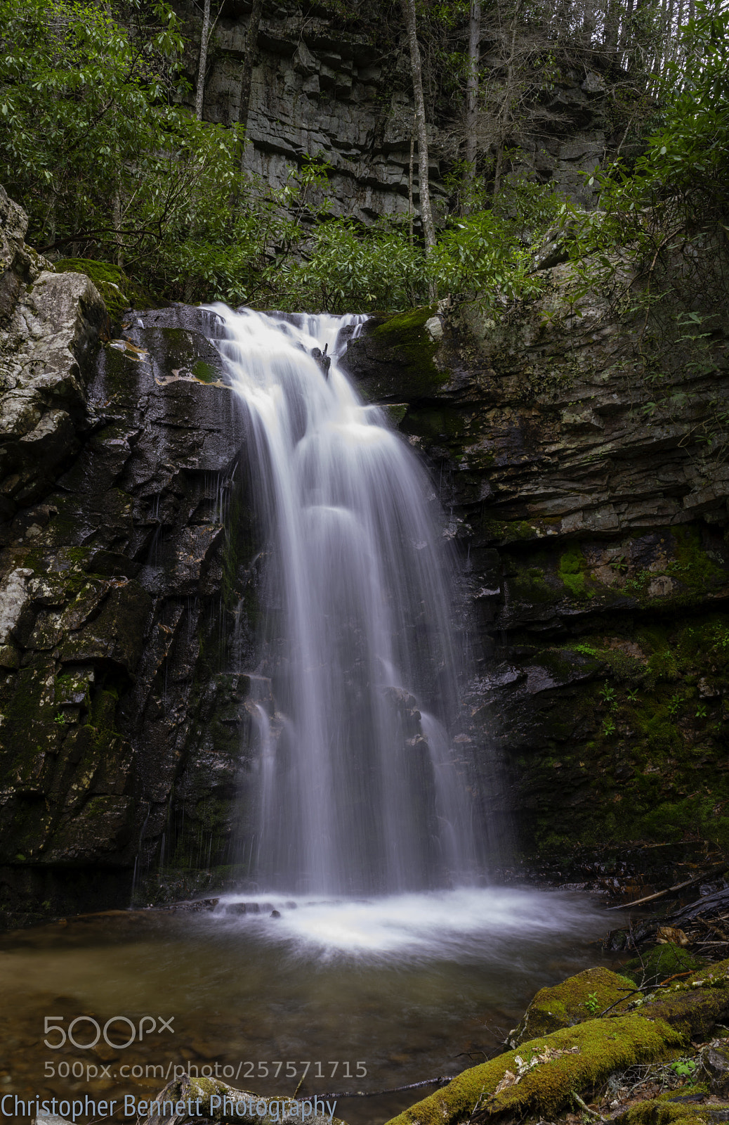 Nikon D850 sample photo. Gentry creek falls photography