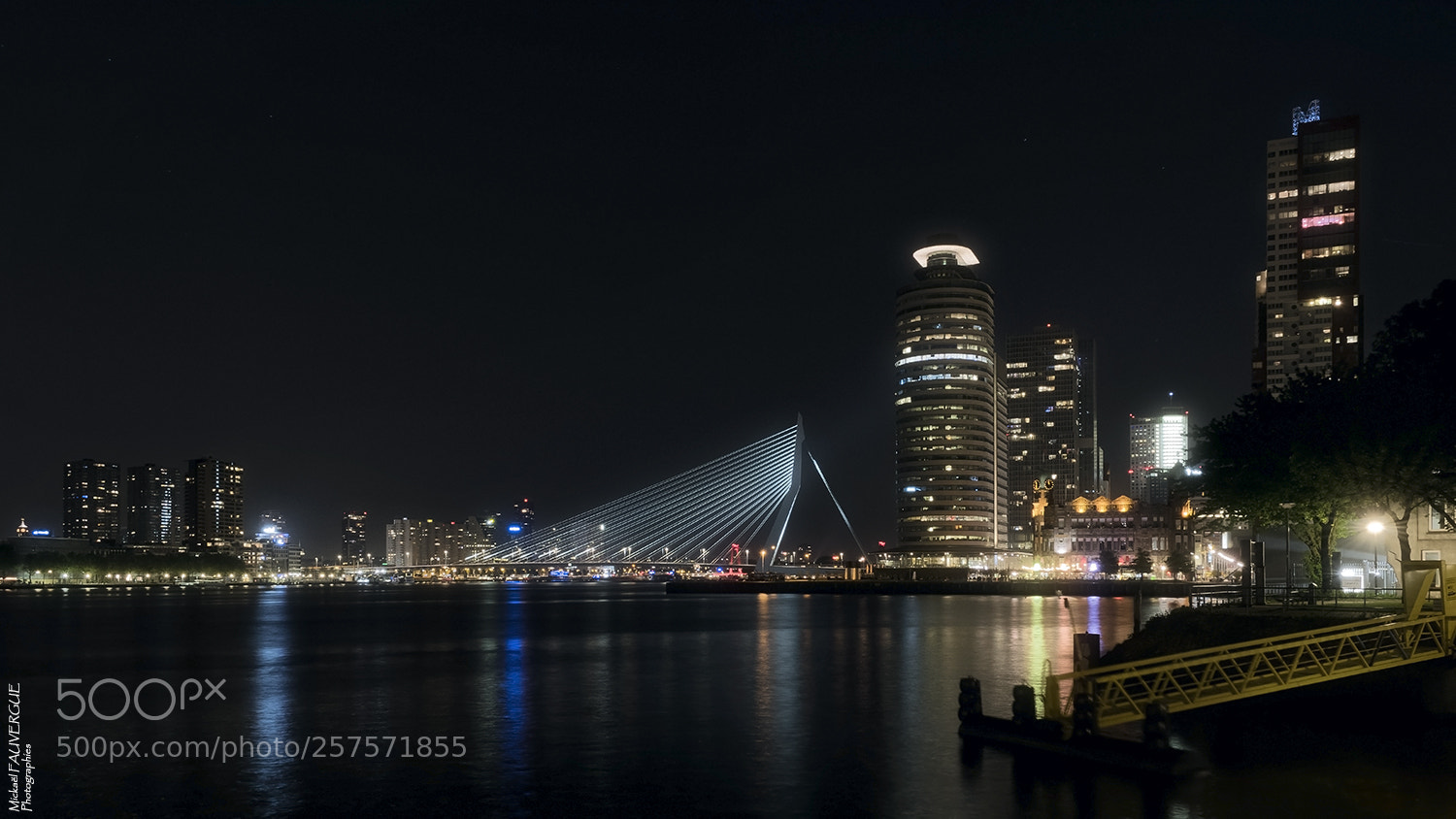Nikon D810 sample photo. Rotterdam by night photography
