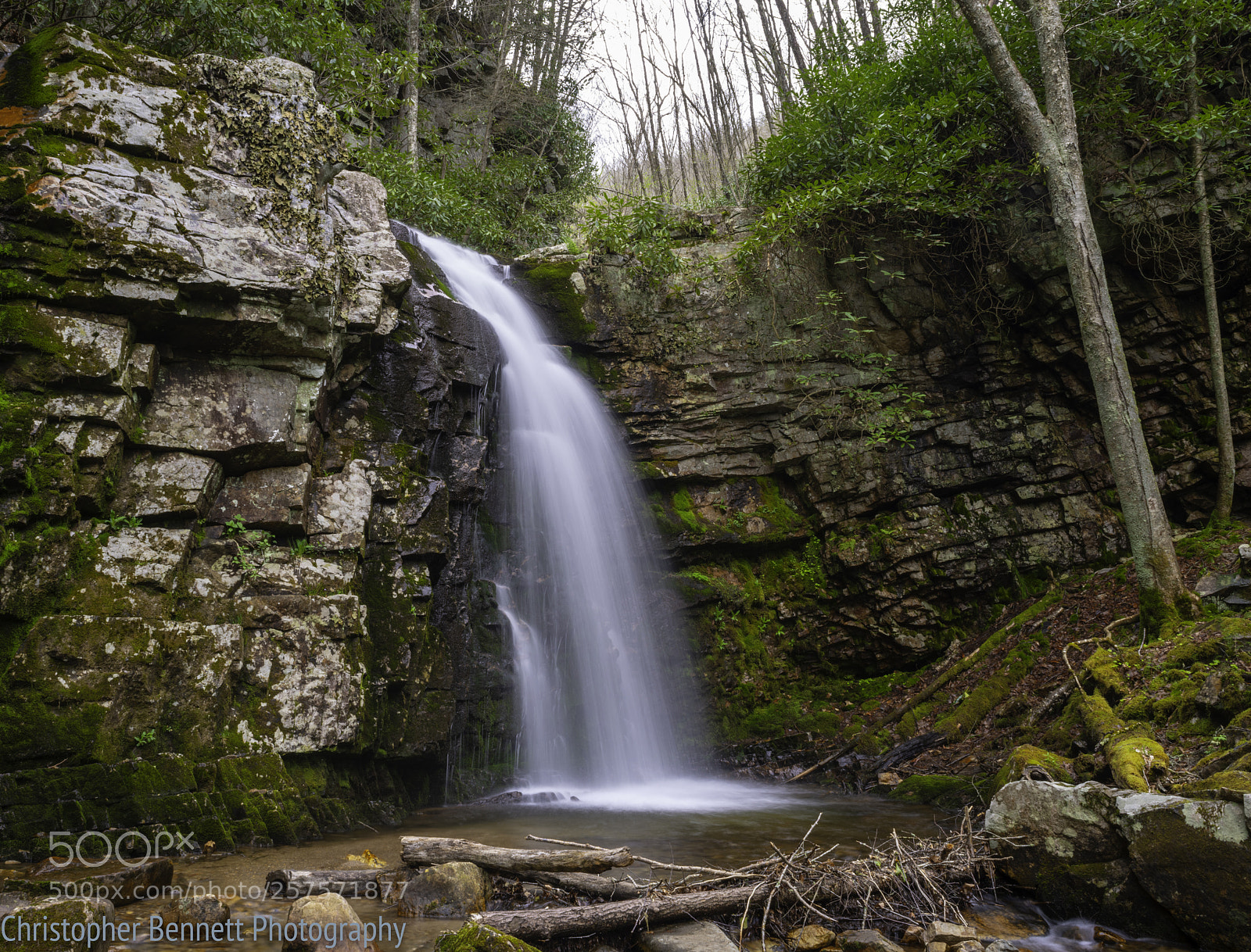 Nikon D850 sample photo. Gentry creek falls photography