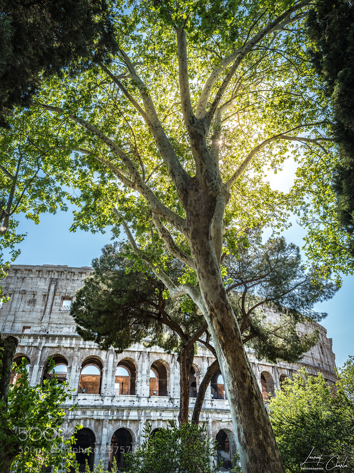 Sony a7R III sample photo. Rome - le colise photography