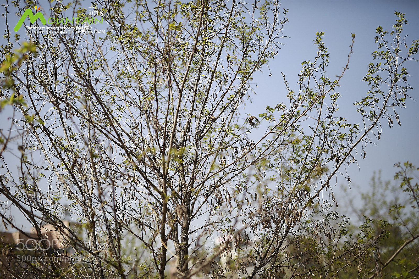 Canon EOS 5D Mark IV sample photo. A photography