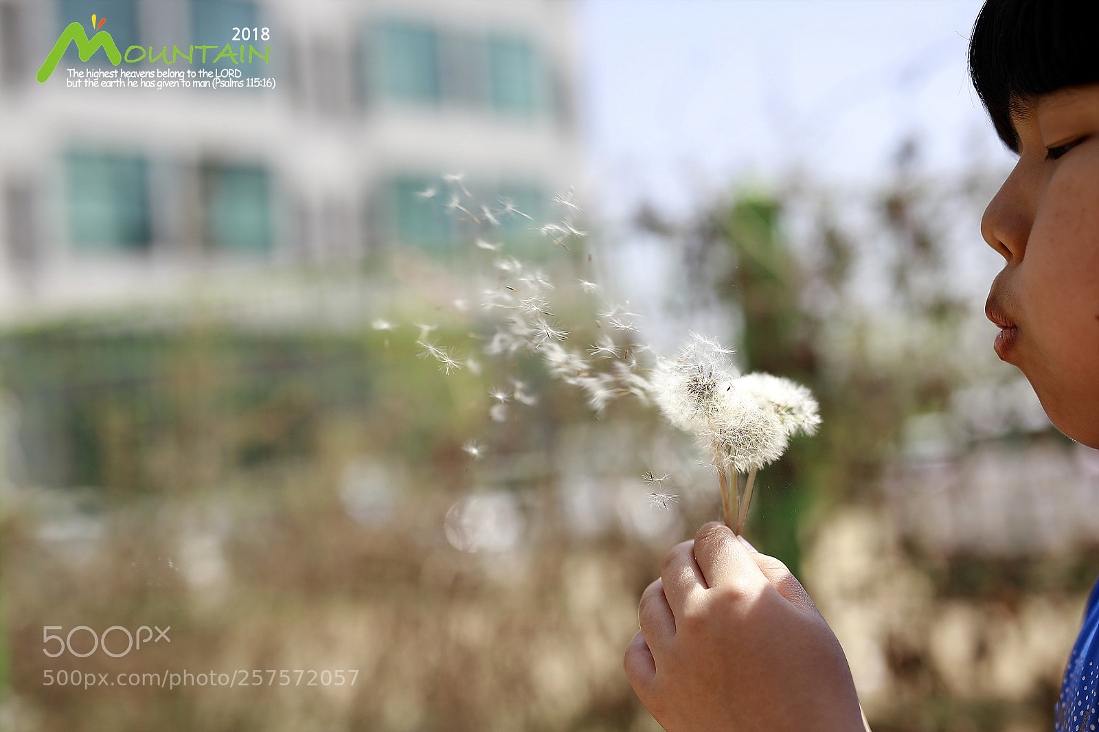 Canon EOS 5D Mark IV sample photo. A photography