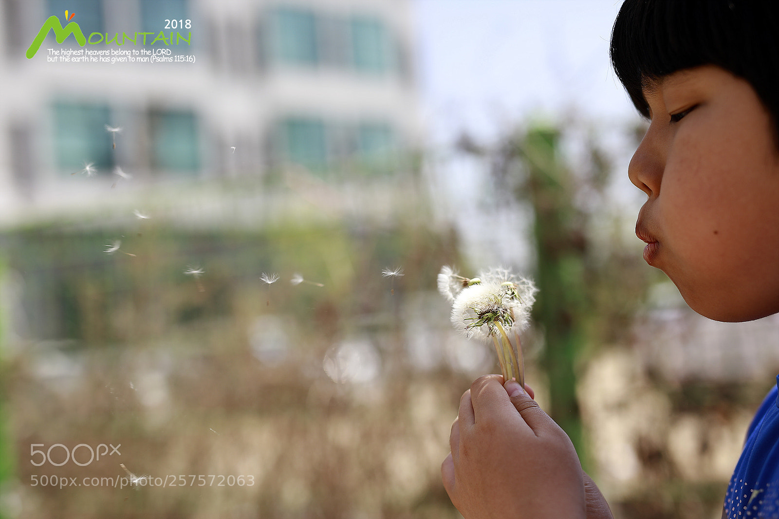 Canon EOS 5D Mark IV sample photo. A photography