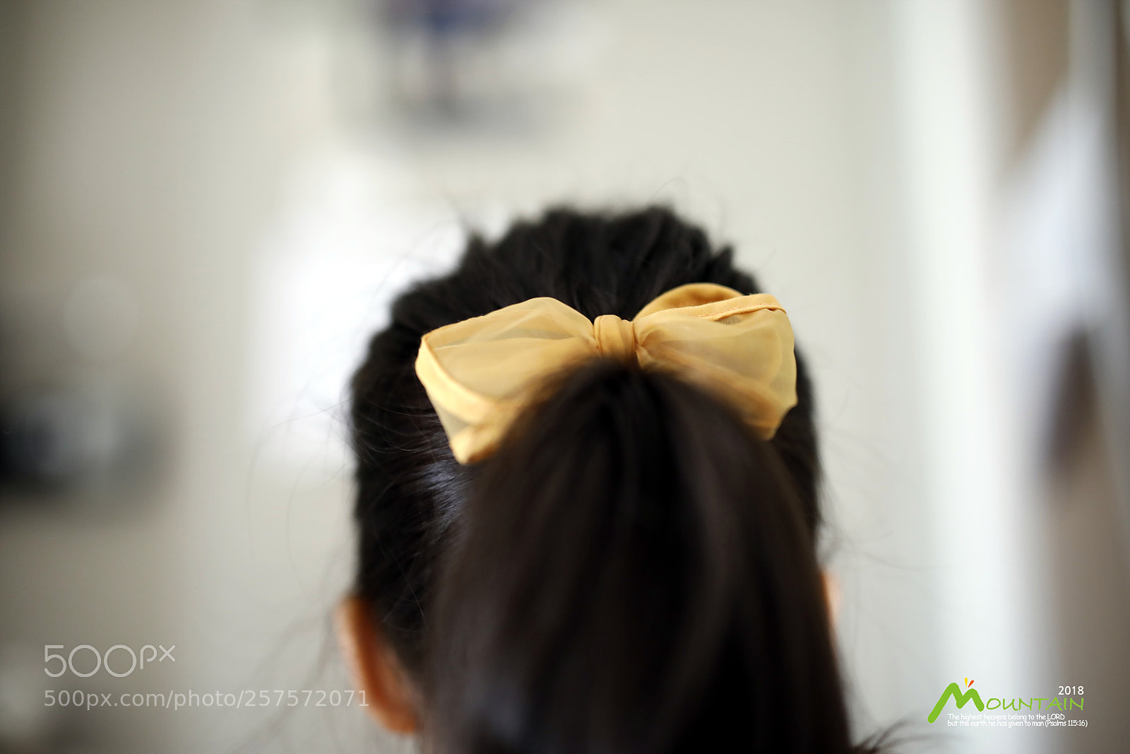 Canon EOS 5D Mark IV sample photo. A photography