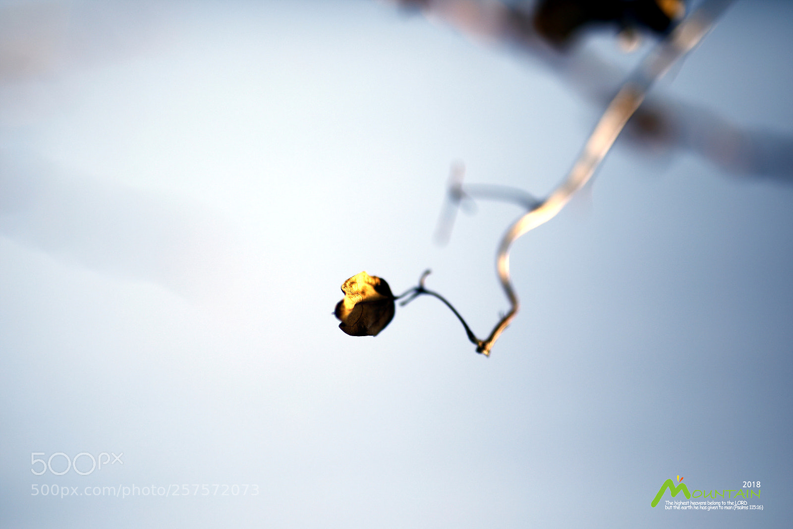 Canon EOS 5D Mark IV sample photo. A photography