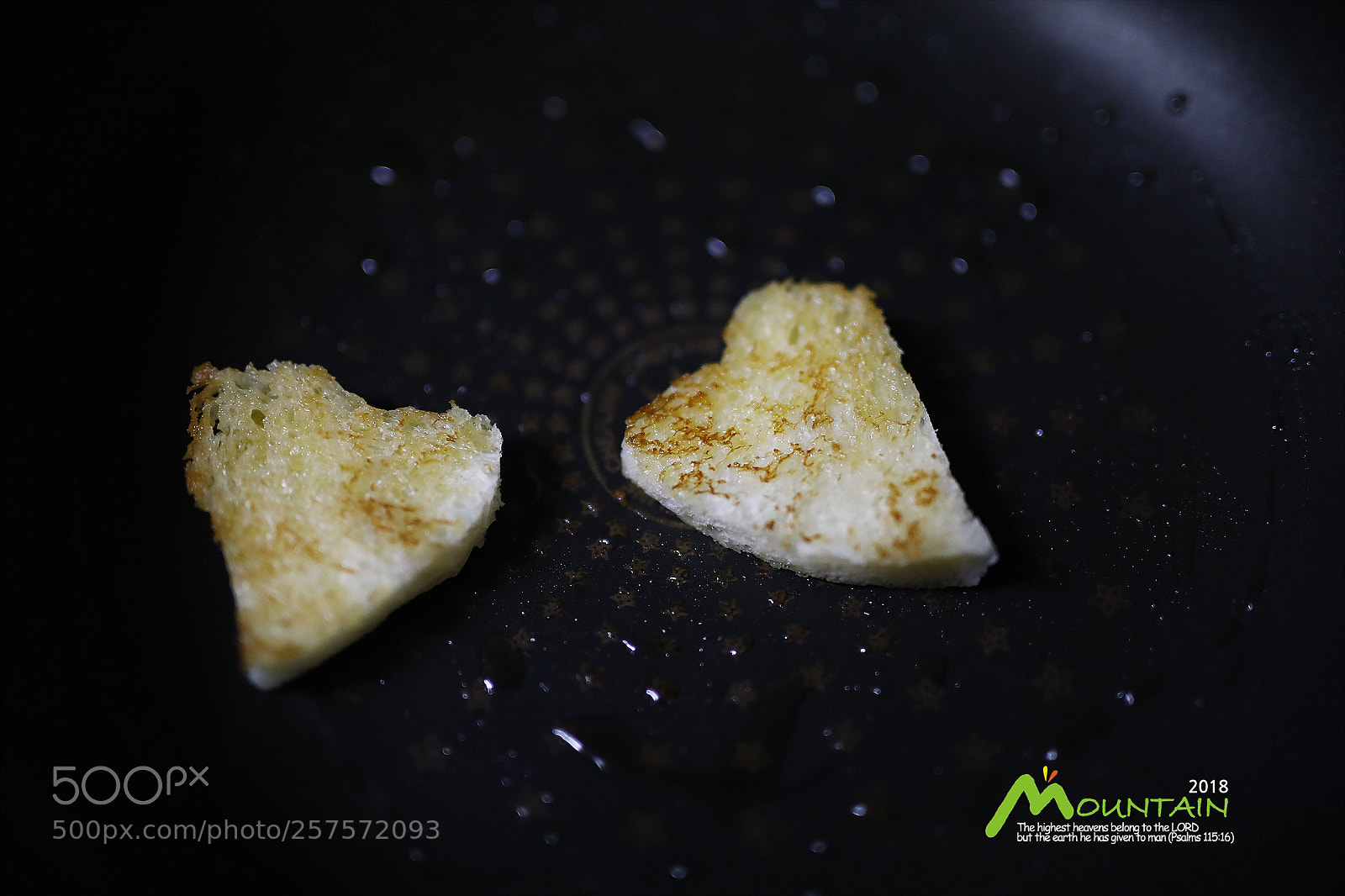 Canon EOS 5D Mark IV sample photo. A photography