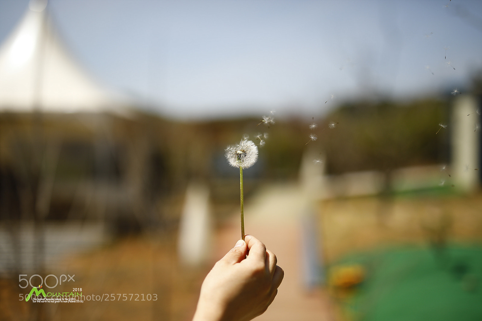 Canon EOS 5D Mark IV sample photo. A photography