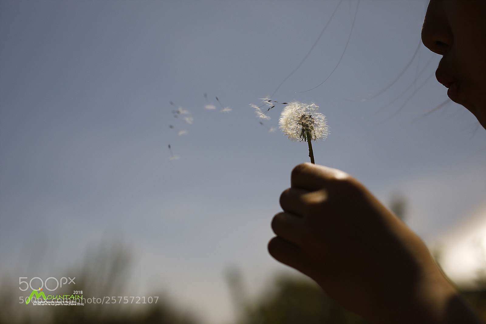 Canon EOS 5D Mark IV sample photo. A photography