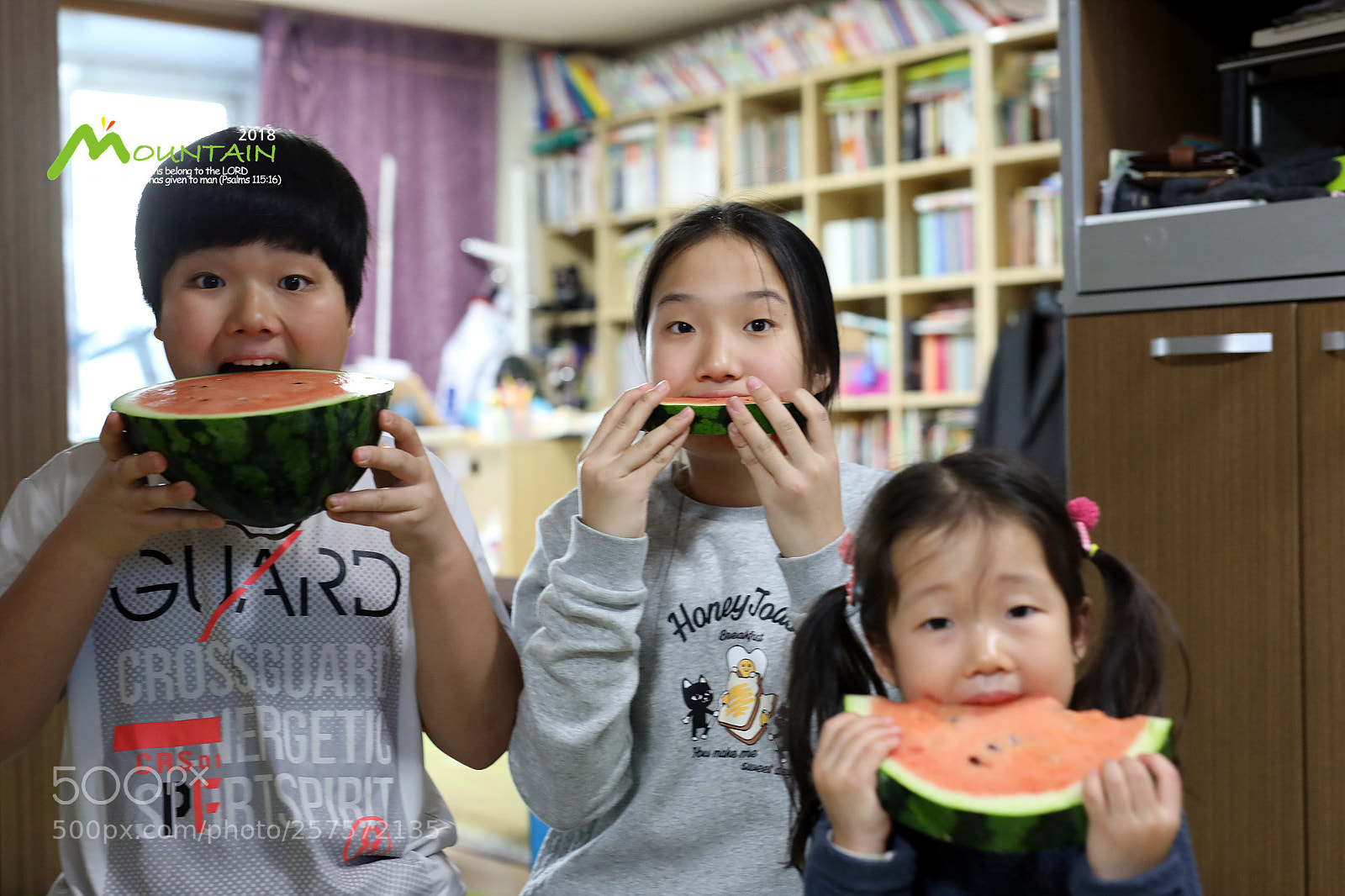 Canon EOS 5D Mark IV sample photo. A photography
