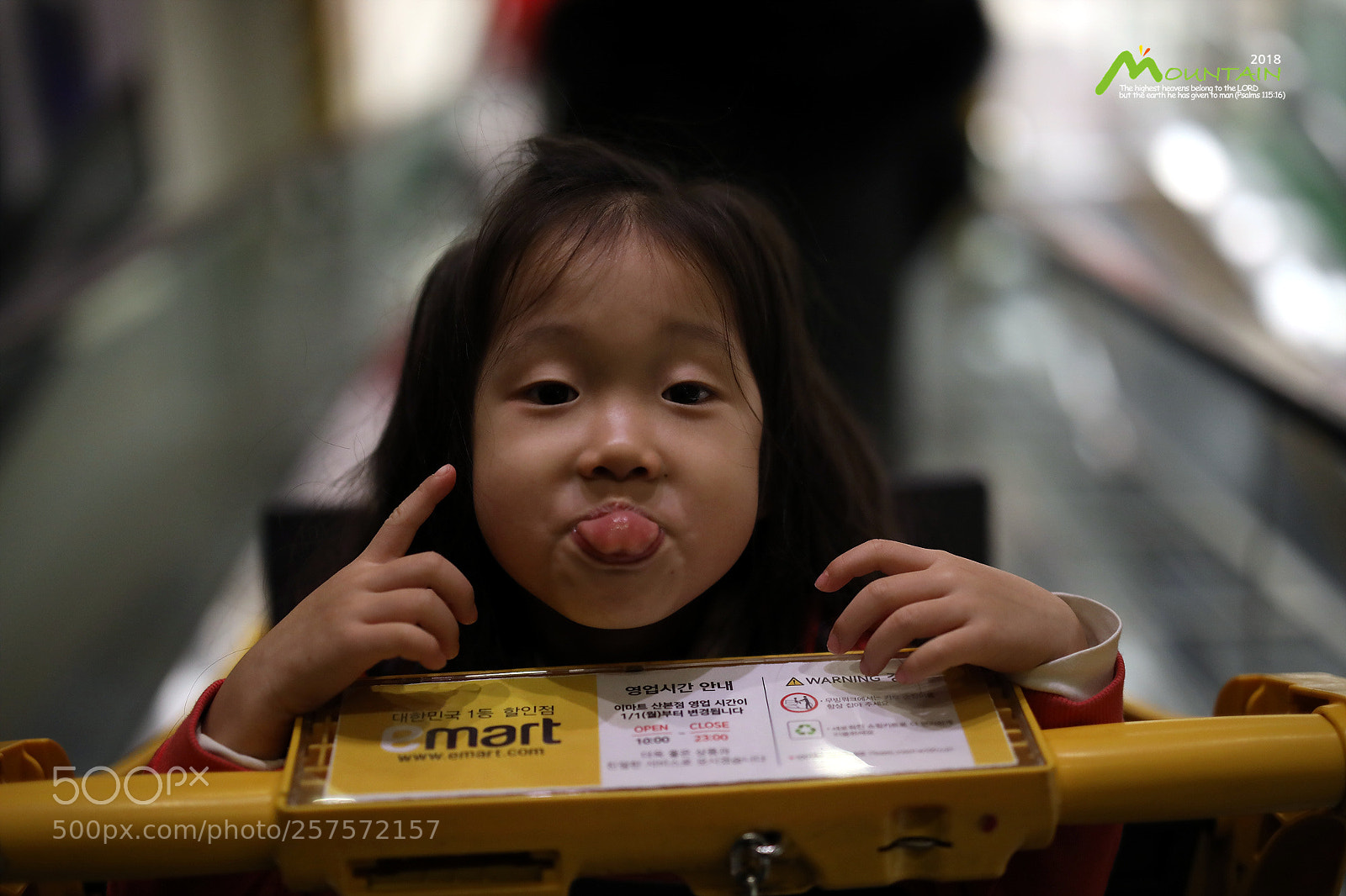 Canon EOS 5D Mark IV sample photo. A photography