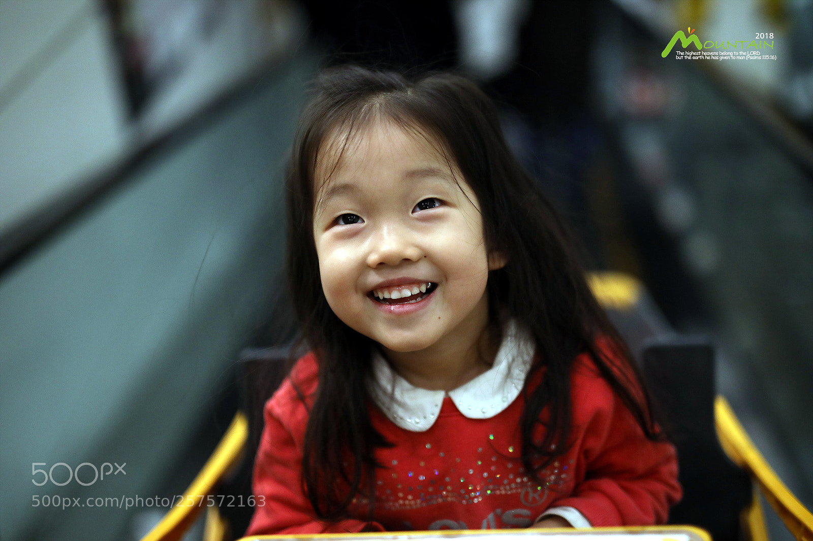 Canon EOS 5D Mark IV sample photo. A photography