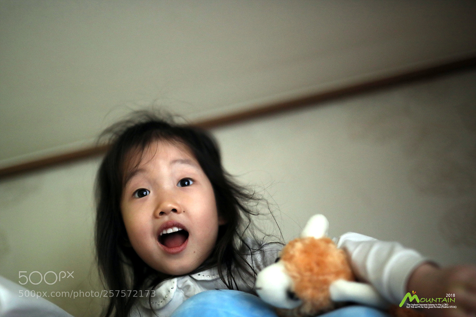 Canon EOS 5D Mark IV sample photo. A photography