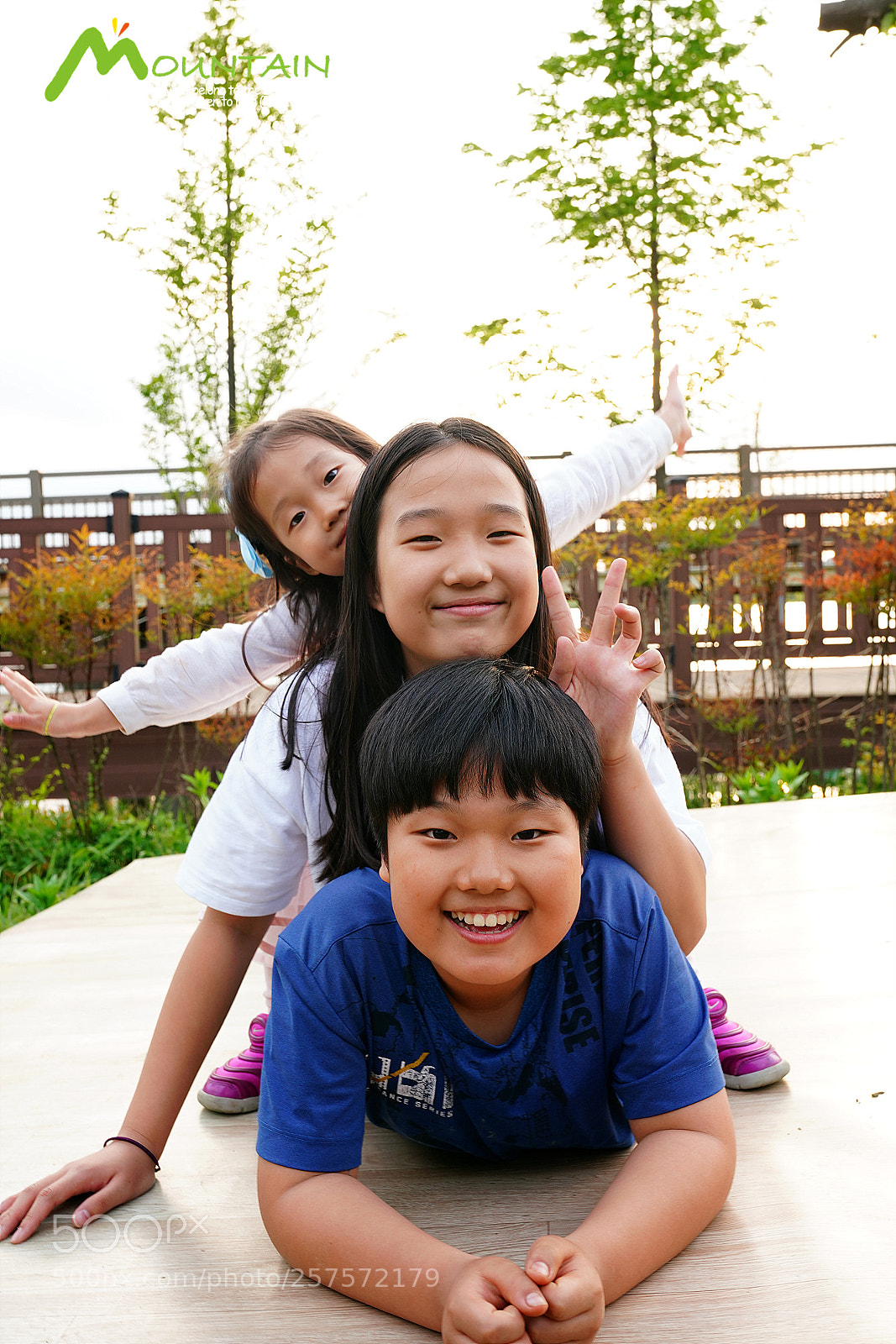 Sony a7R III sample photo. Dsc photography
