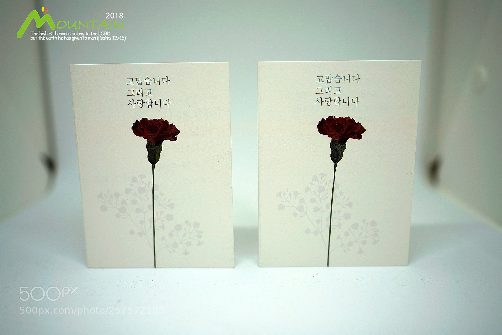 Sony a7R III sample photo. Dsc photography