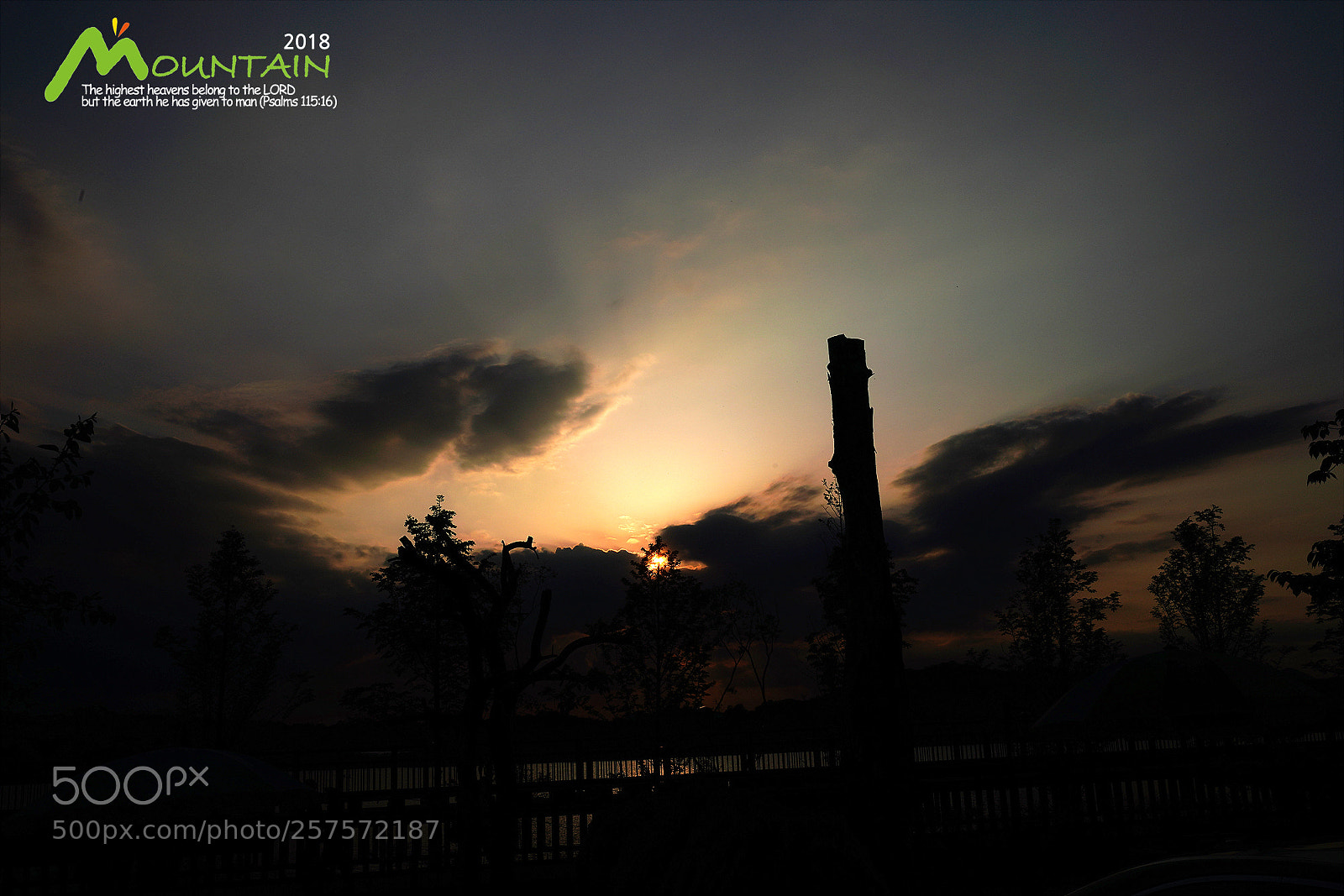Sony a7R III sample photo. Dsc photography