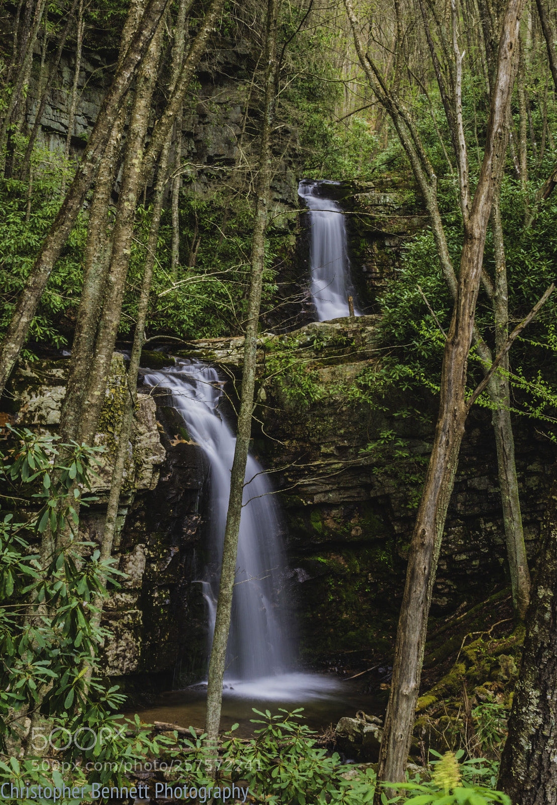 Nikon D850 sample photo. Gentry creek falls photography