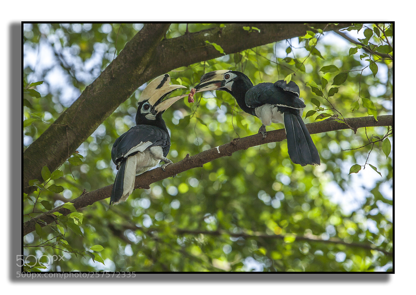 Canon EOS 5D sample photo. Img photography