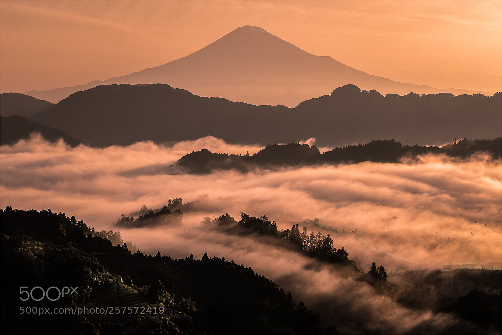 Canon EOS-1D X Mark II sample photo. Mount fuji sea of photography