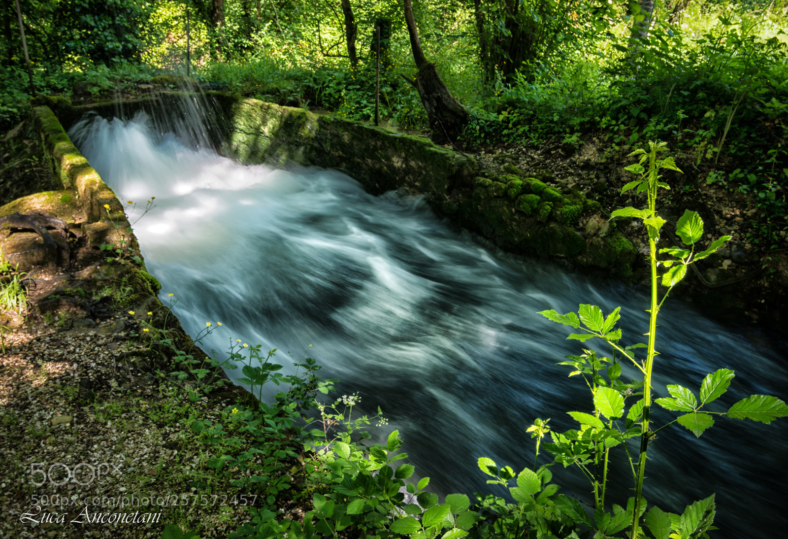 Nikon D610 sample photo. Everythings flows photography