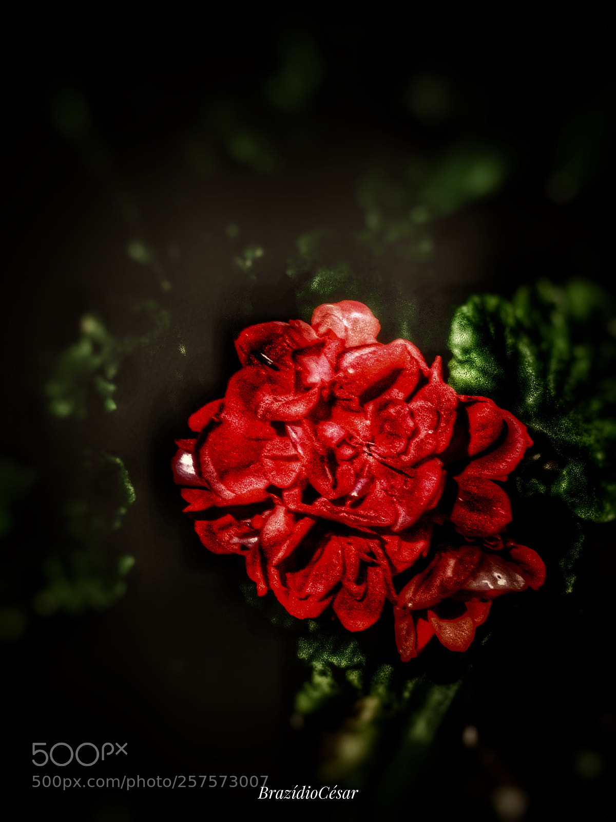 Apple iPhone 6s sample photo. Untitled photography