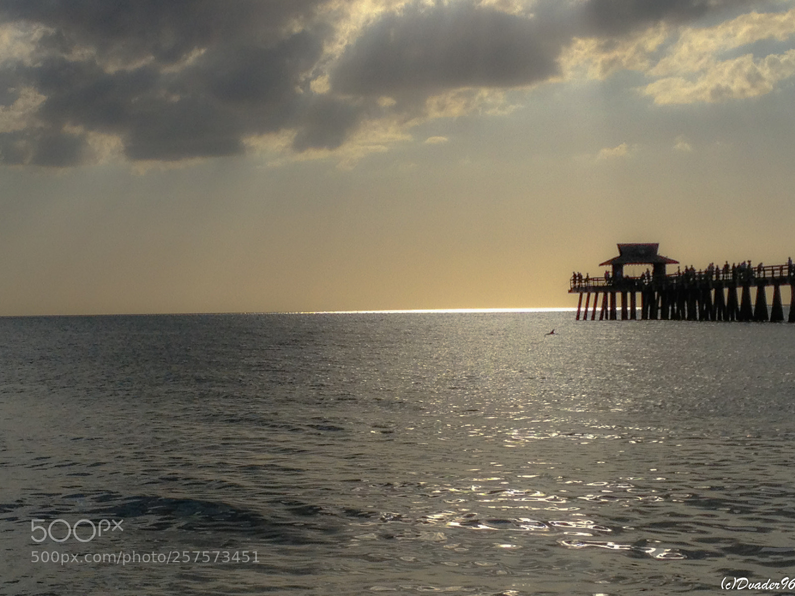Apple iPhone 4S sample photo. Floride photography