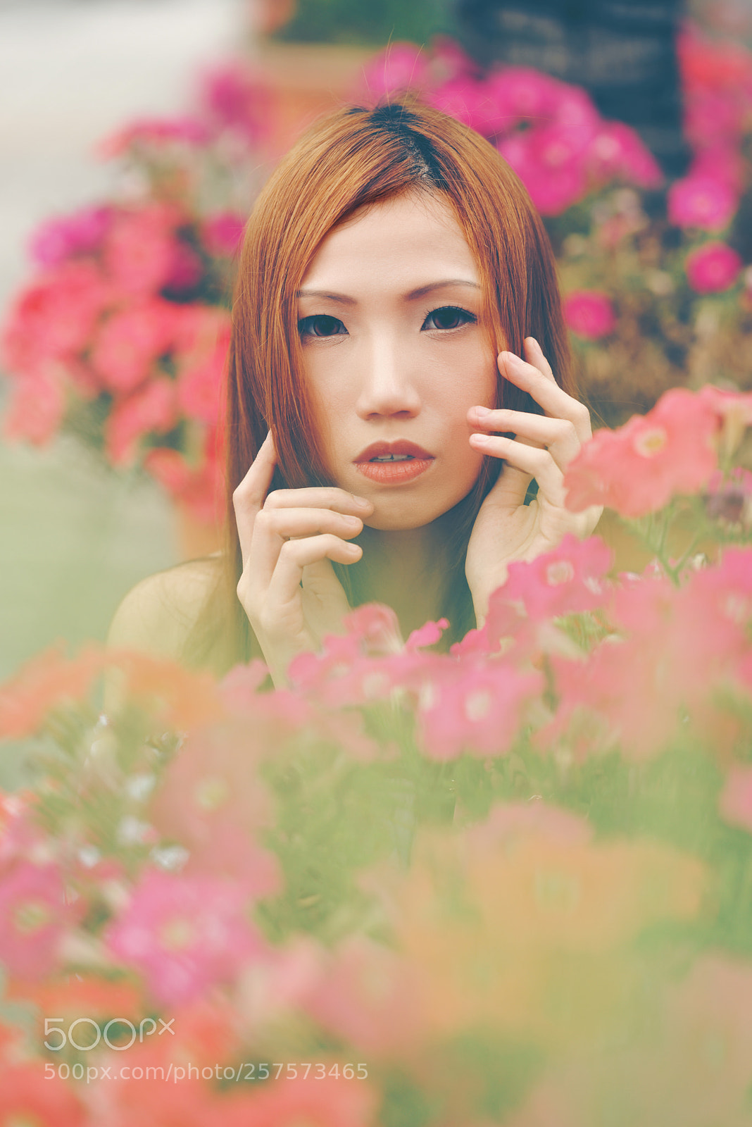 Nikon D750 sample photo. 淺花迷人 photography