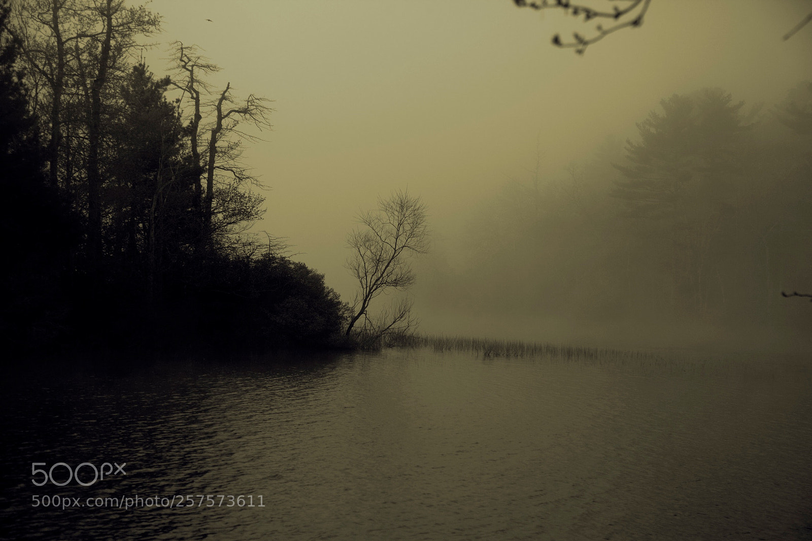 Canon EOS 5D Mark II sample photo. Fog on big quitticas photography