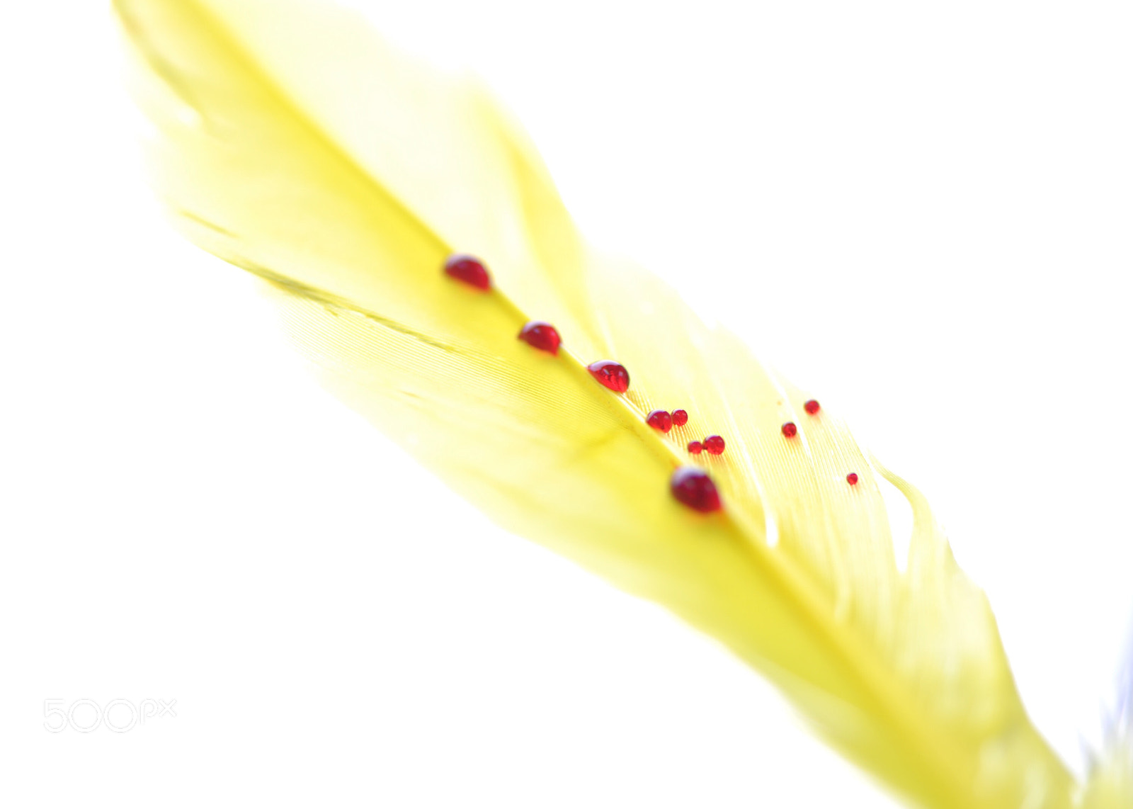Nikon D90 sample photo. Untitled photography