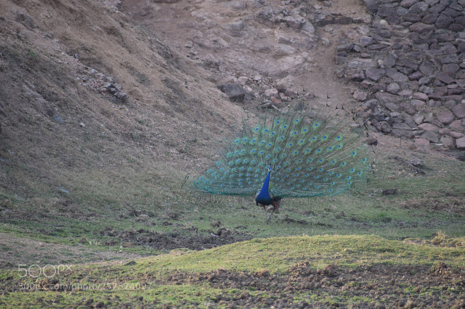Nikon D3300 sample photo. Untitled photography
