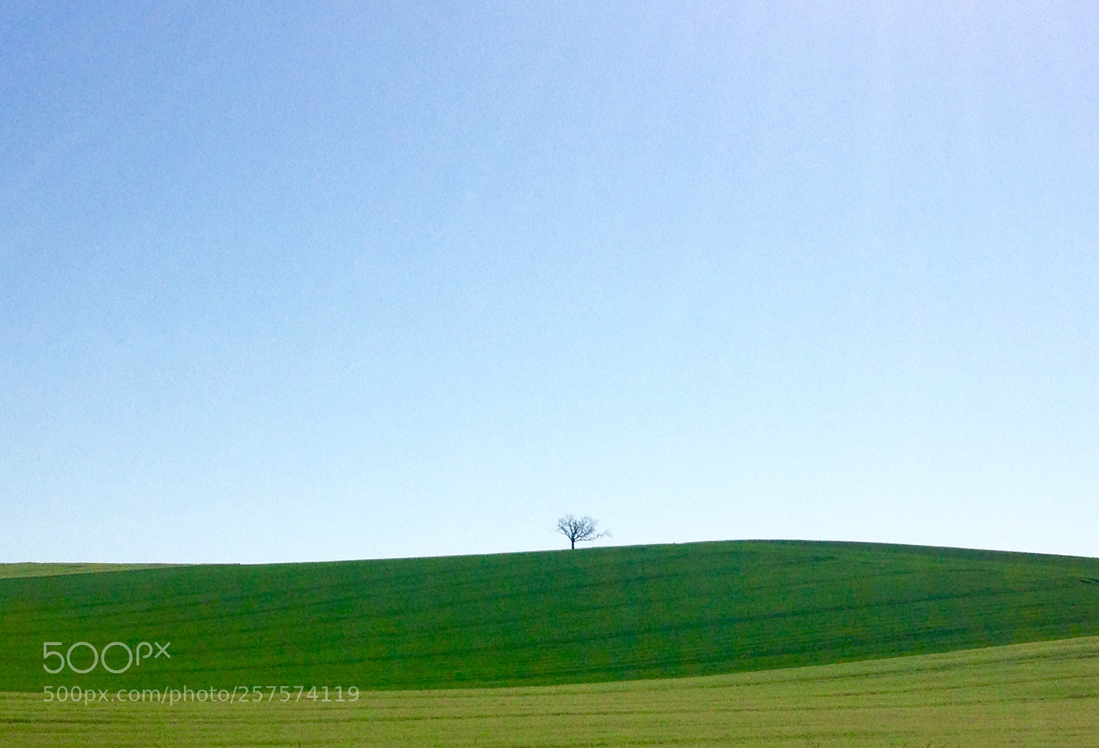 Apple iPhone 5c sample photo. 08 mai 2018 photography