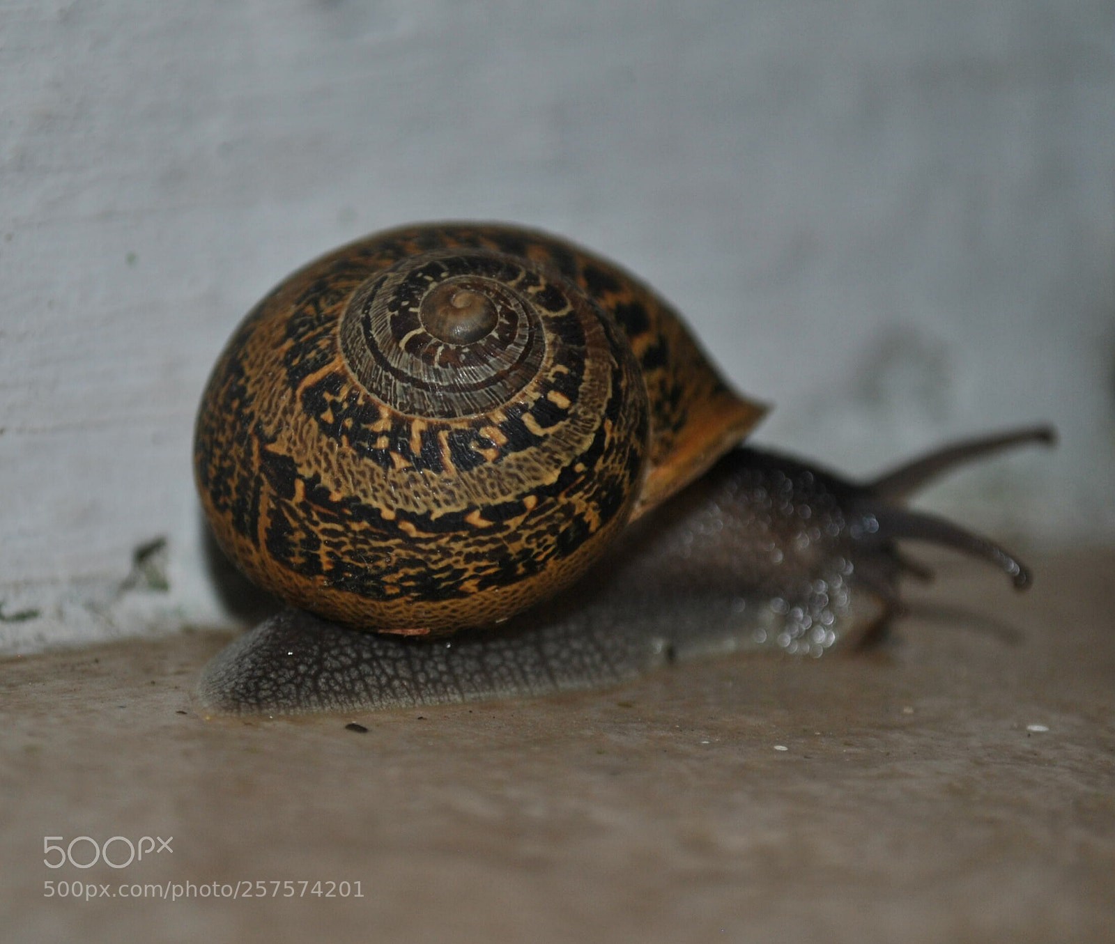Nikon D3000 sample photo. Untitled photography