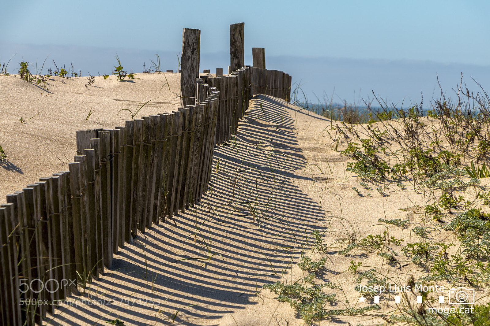 Canon EOS 70D sample photo. Railing in the sand photography
