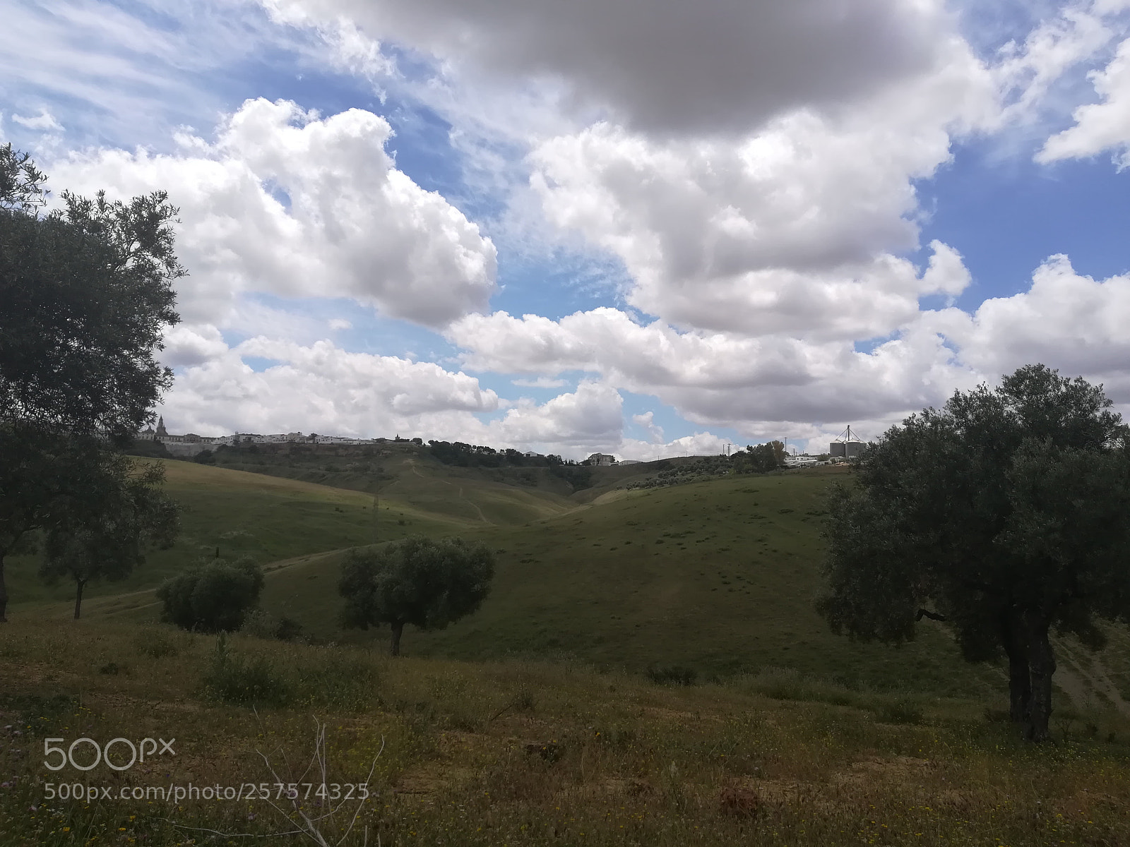 HUAWEI P10 lite sample photo. Untitled photography