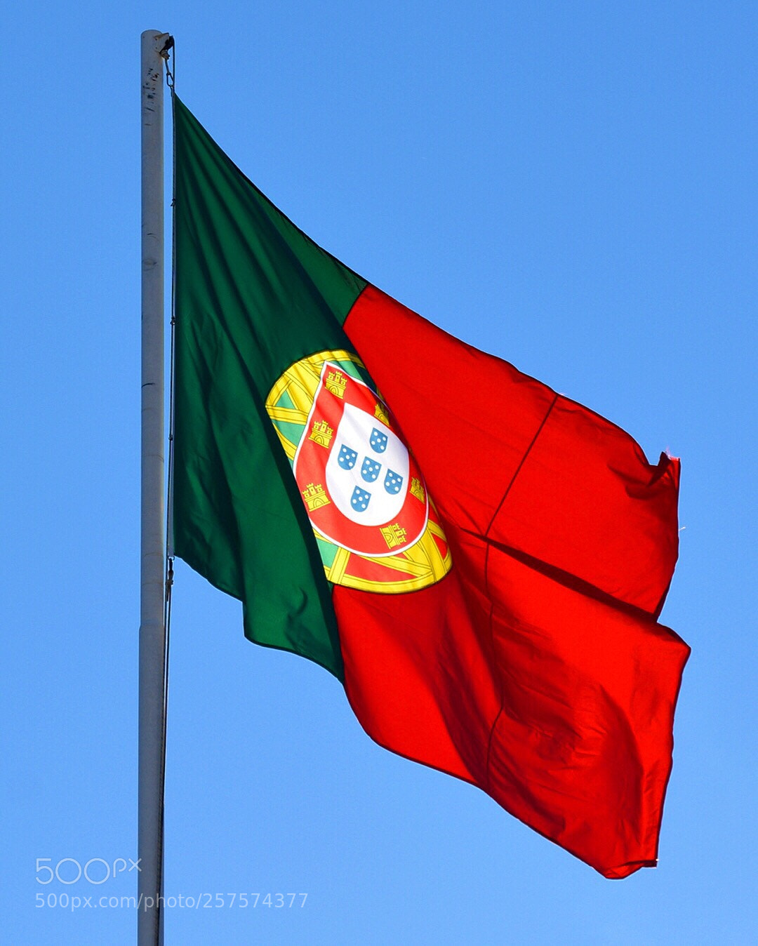 Nikon D5200 sample photo. Red and green photography