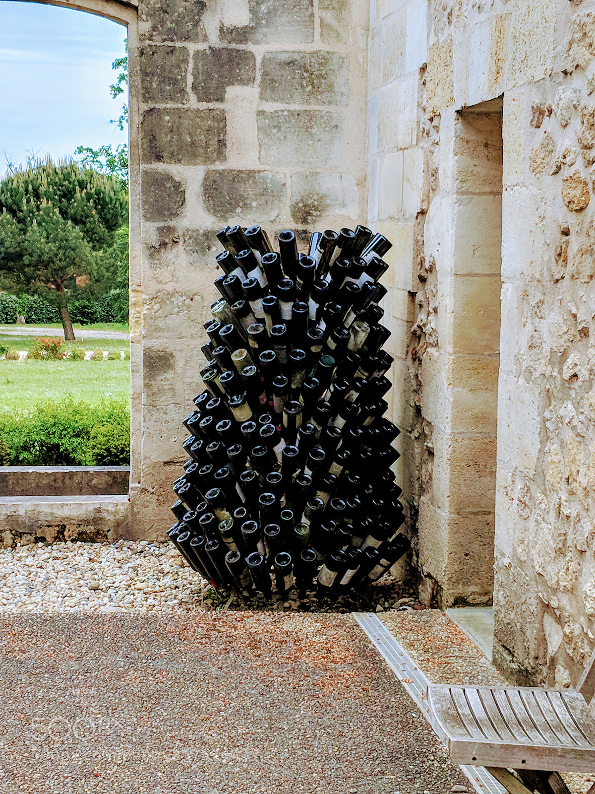 Google Pixel 2 sample photo. Tree of wine photography