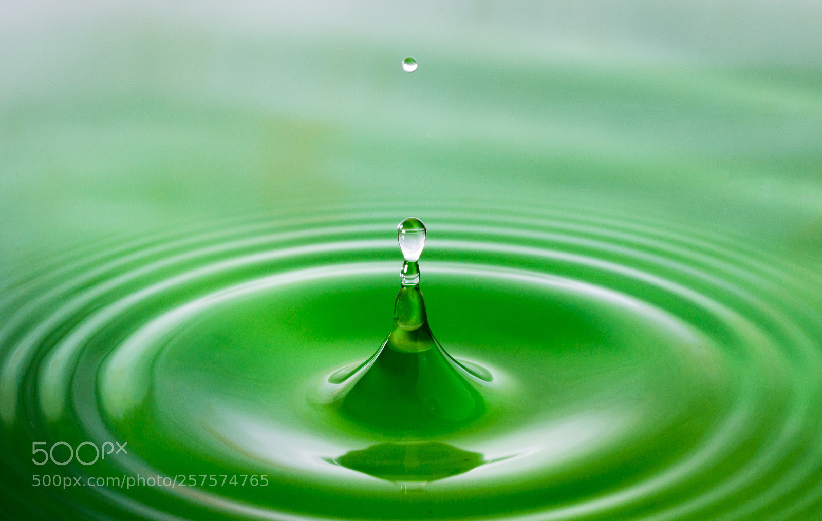 Canon EOS 70D sample photo. Drop water photography