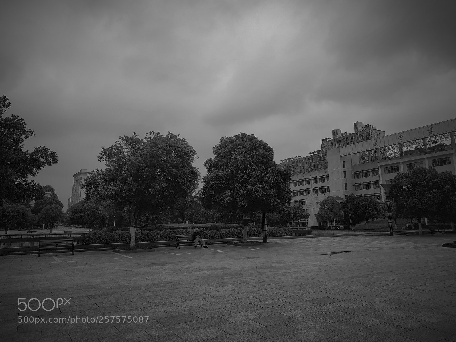 Xiaomi Redmi Note 5 sample photo. Untitled photography