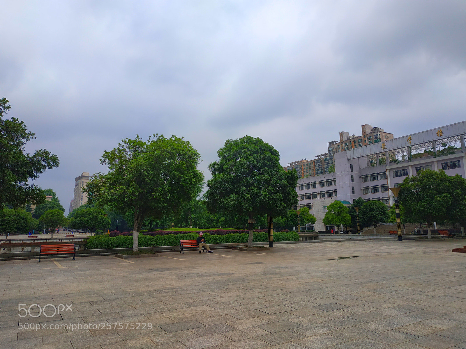 Xiaomi Redmi Note 5 sample photo. Untitled photography