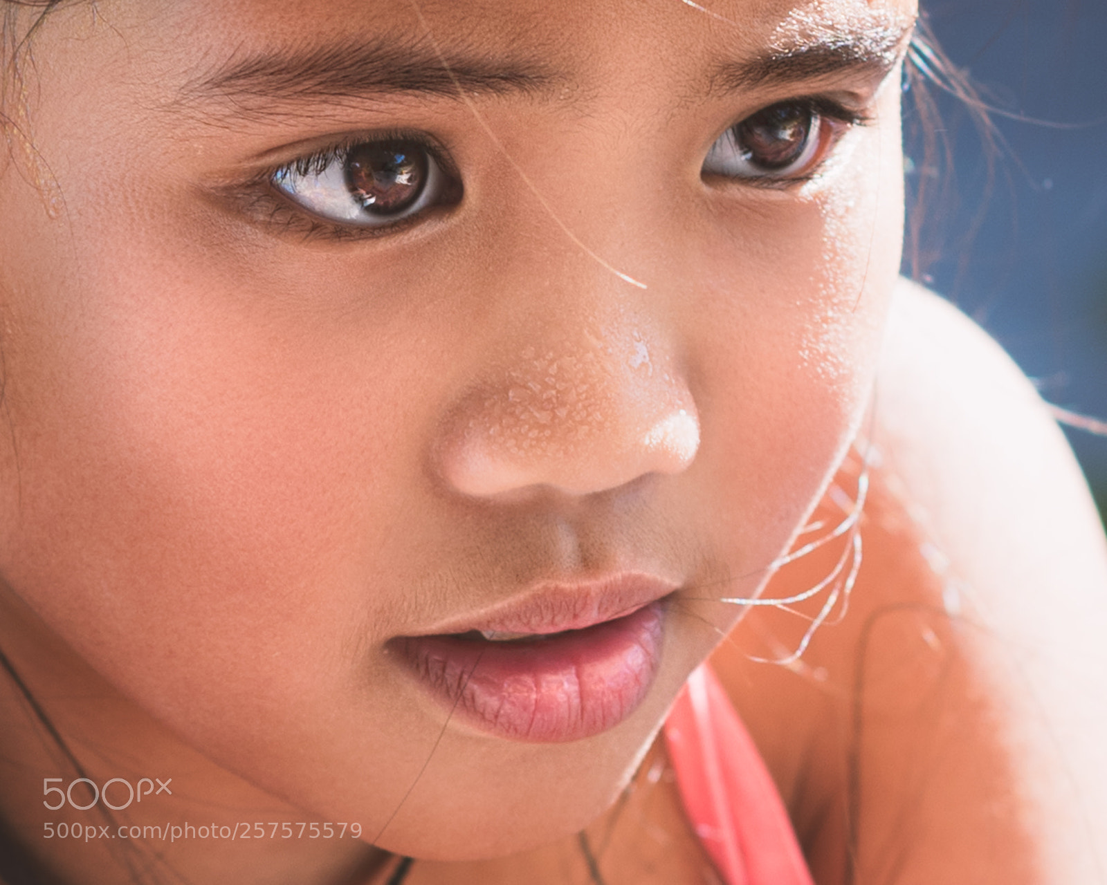 Nikon D750 sample photo. First time in oz photography