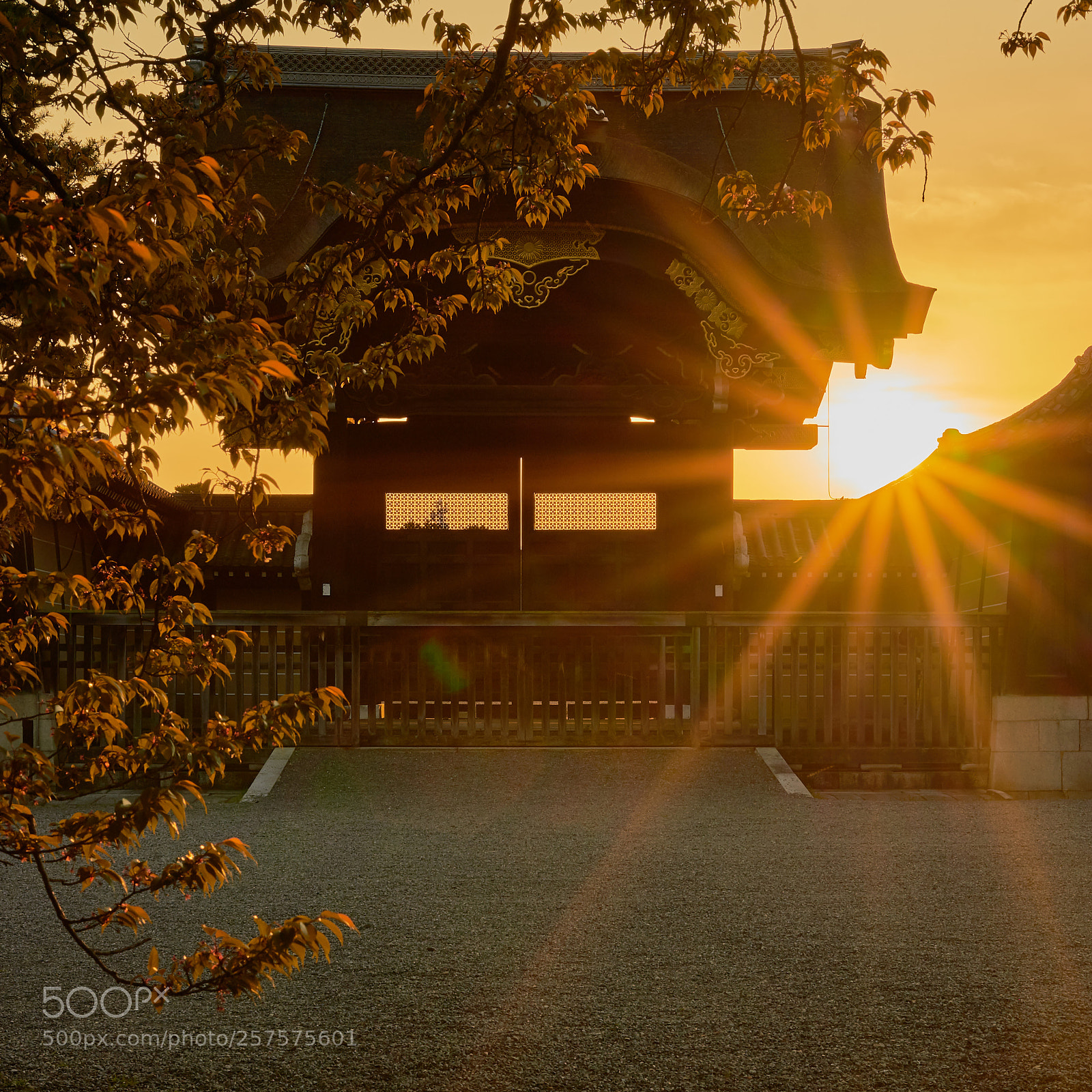Sony a7 II sample photo. The kyoto imperial palace photography