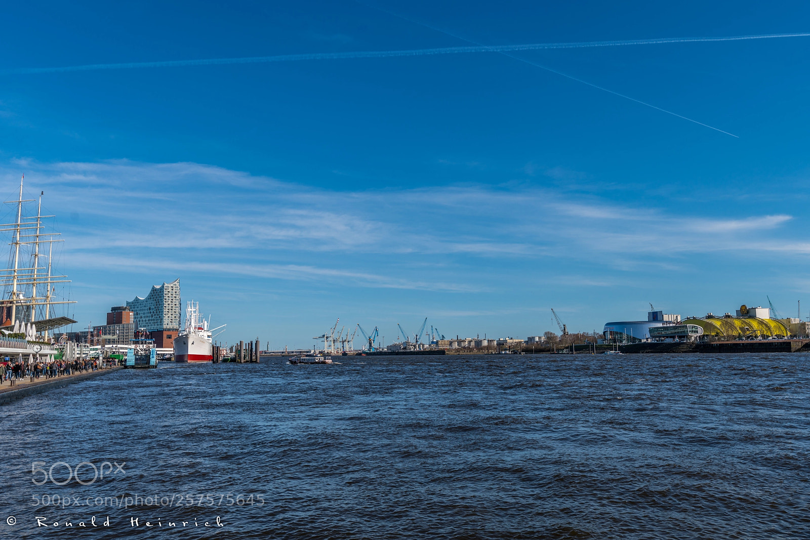 Sony a7R II sample photo. 013  2018-04-06 1.jpg photography