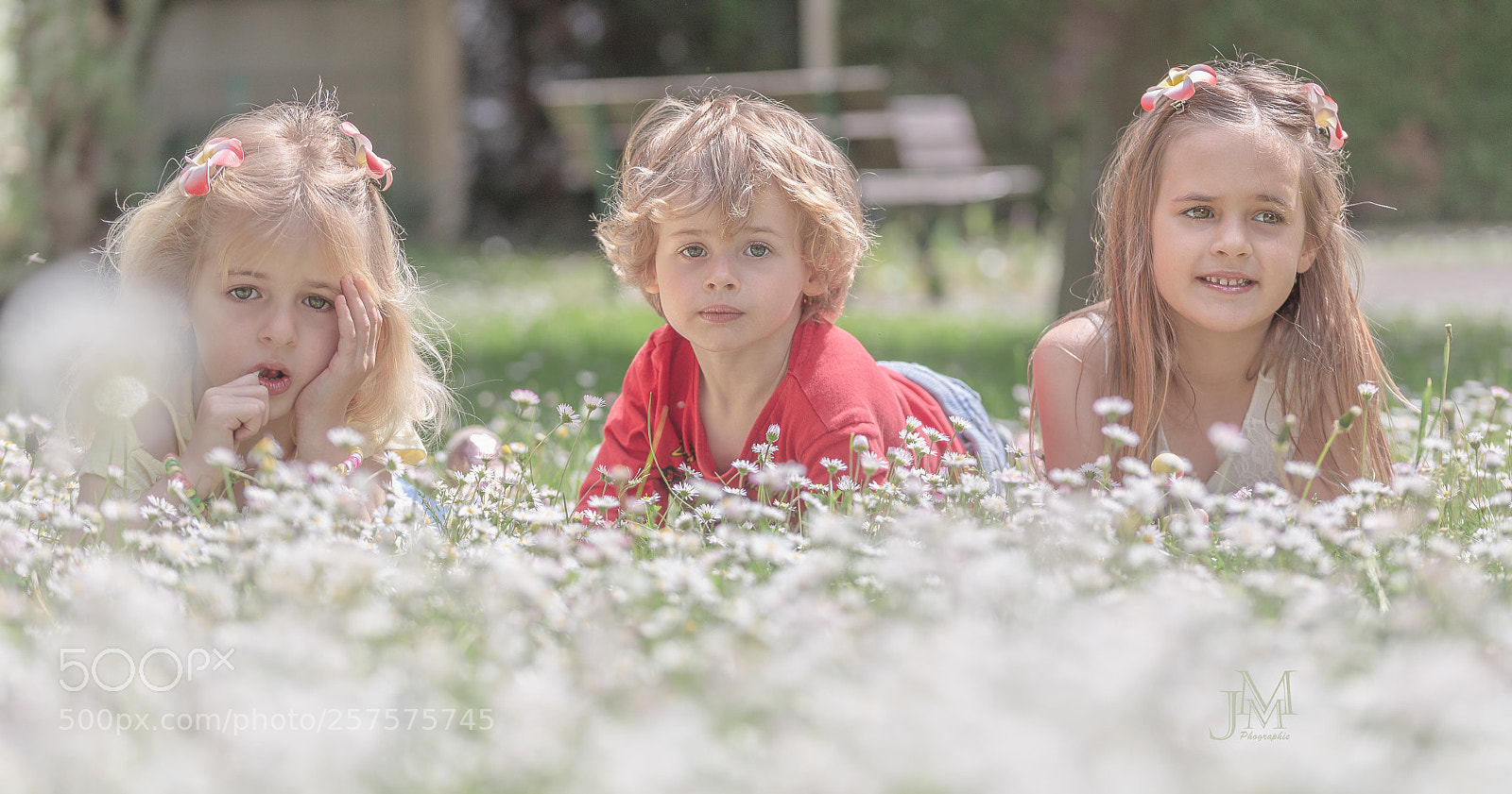 Canon EOS 6D sample photo. A n y ii photography