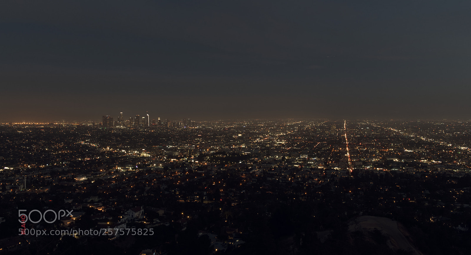 Nikon D850 sample photo. La view from griffith photography