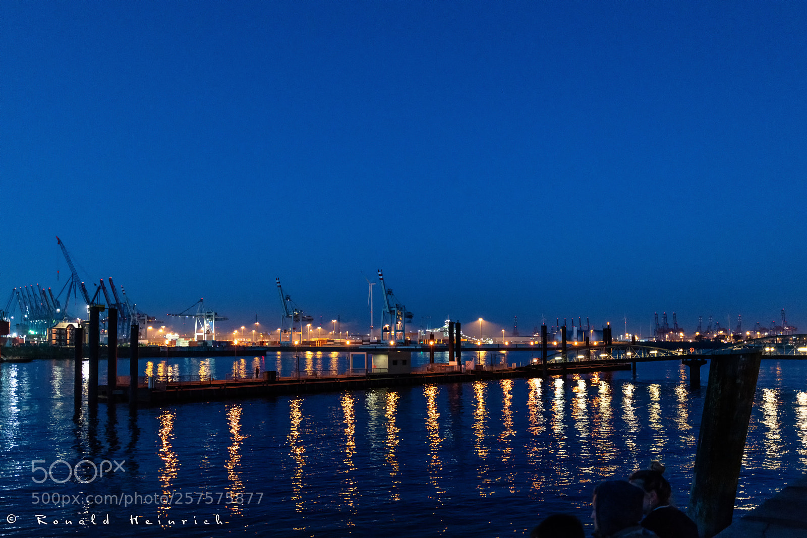 Sony a7R II sample photo. 204  2018-04-08 .jpg photography