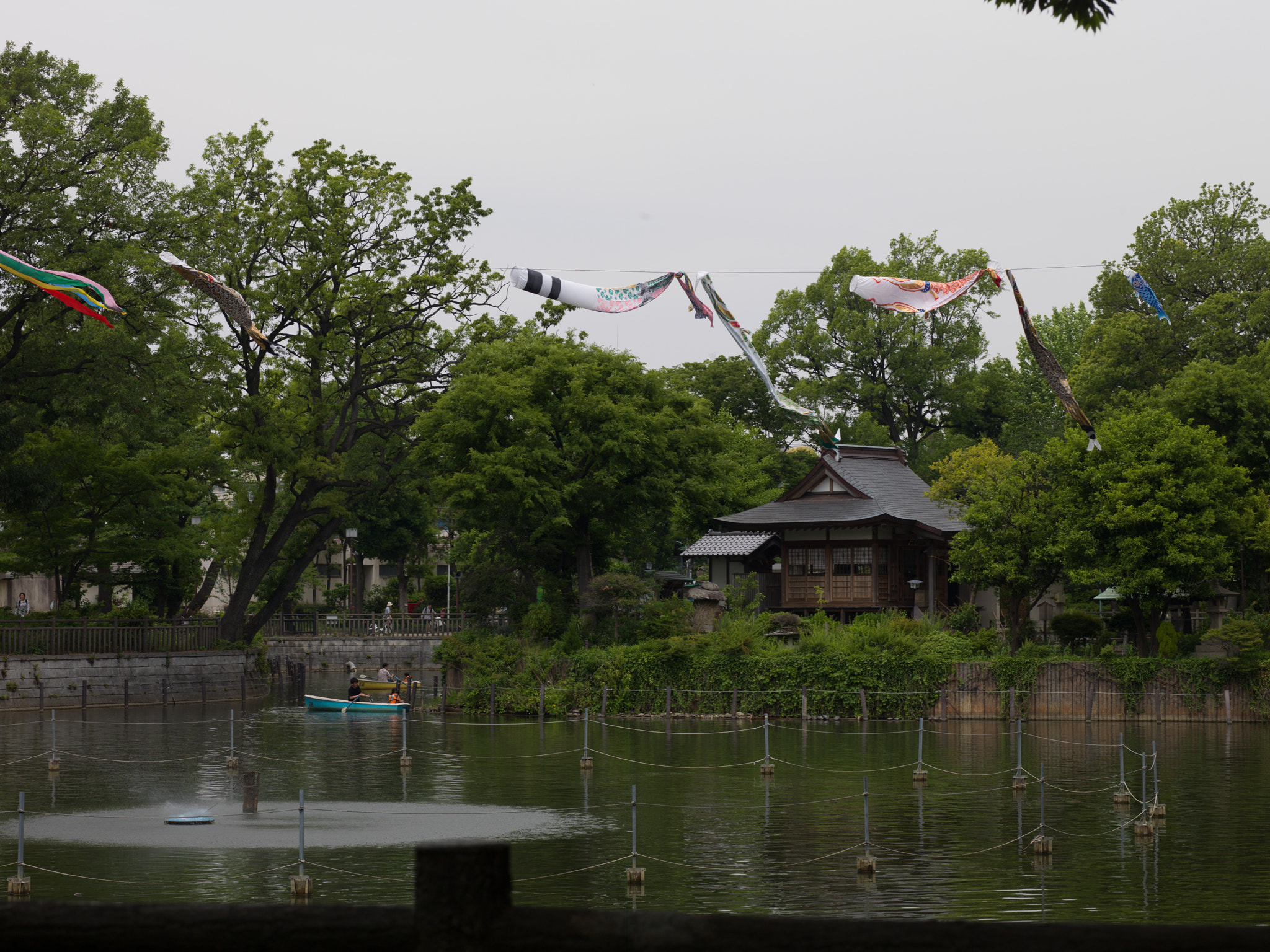 Hasselblad H3D-39 sample photo. Himonya park - with koinobori photography