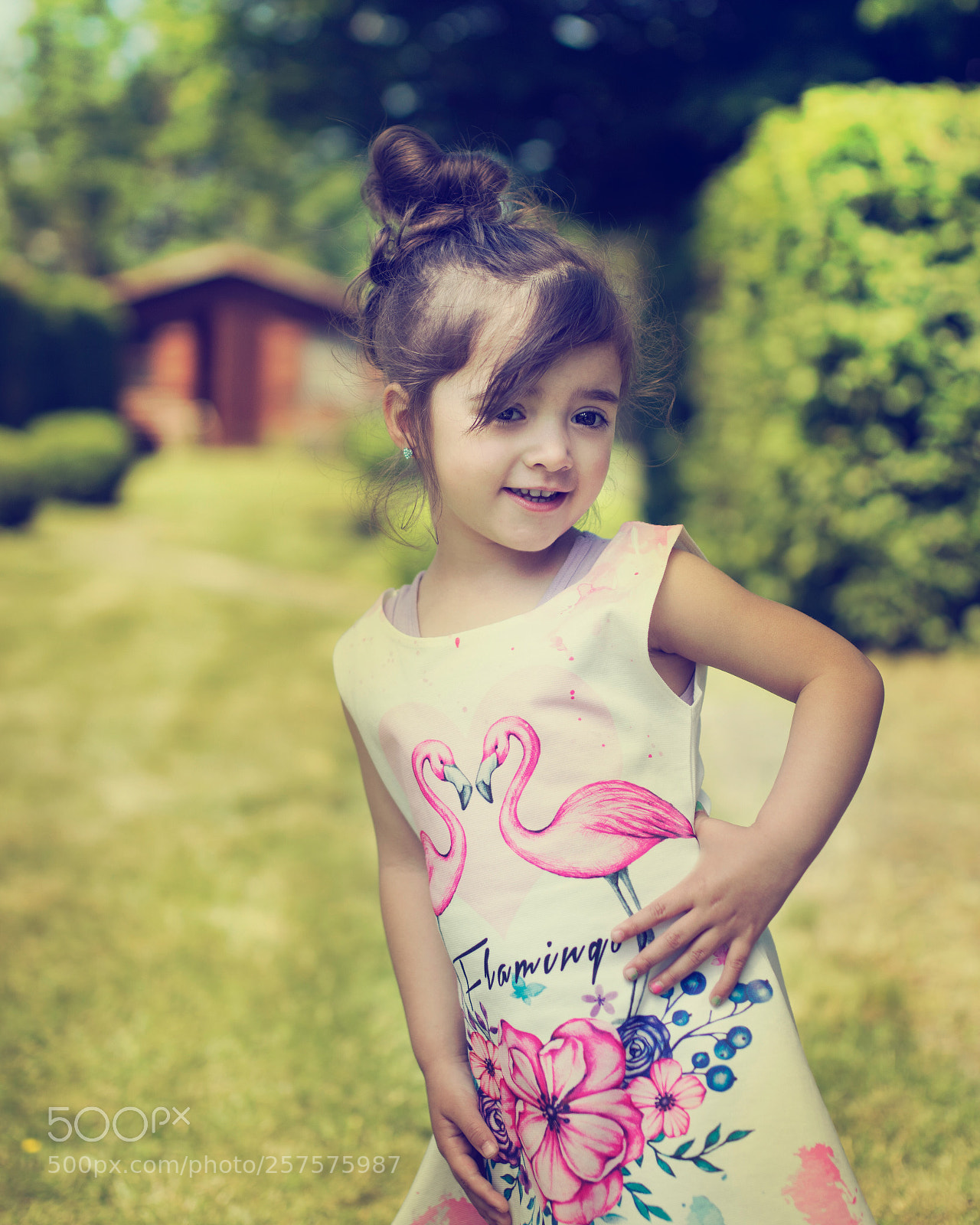 Nikon D5300 sample photo. Untitled photography