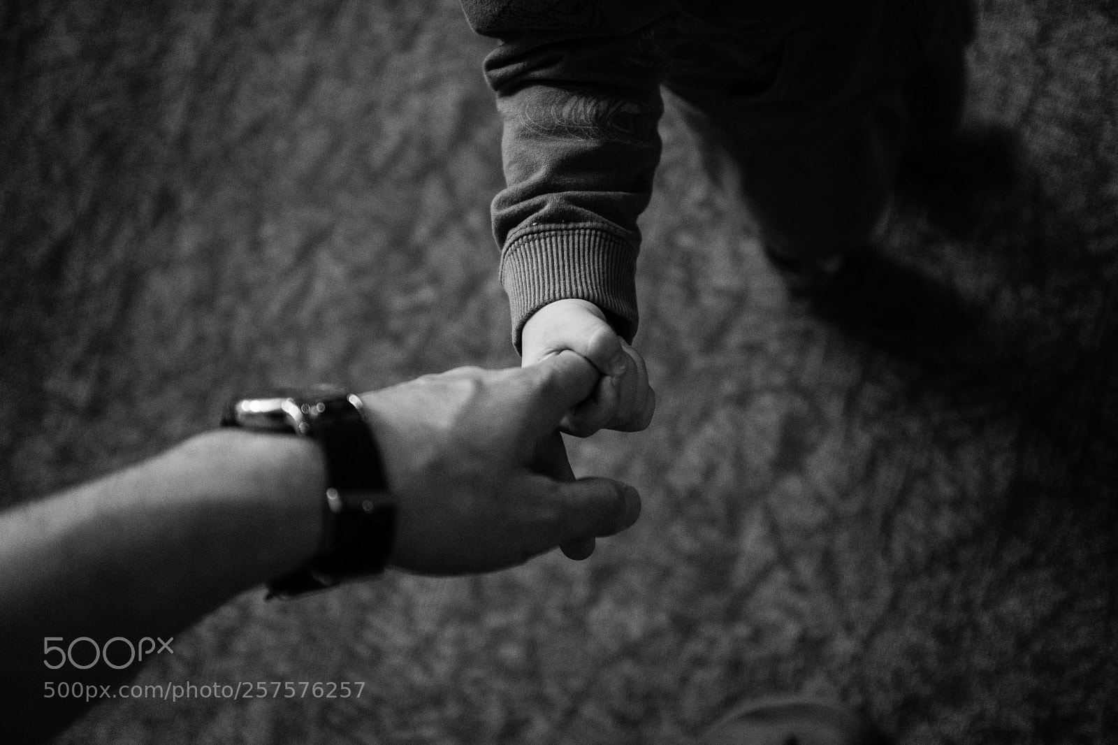 Fujifilm X100F sample photo. Hold tight photography