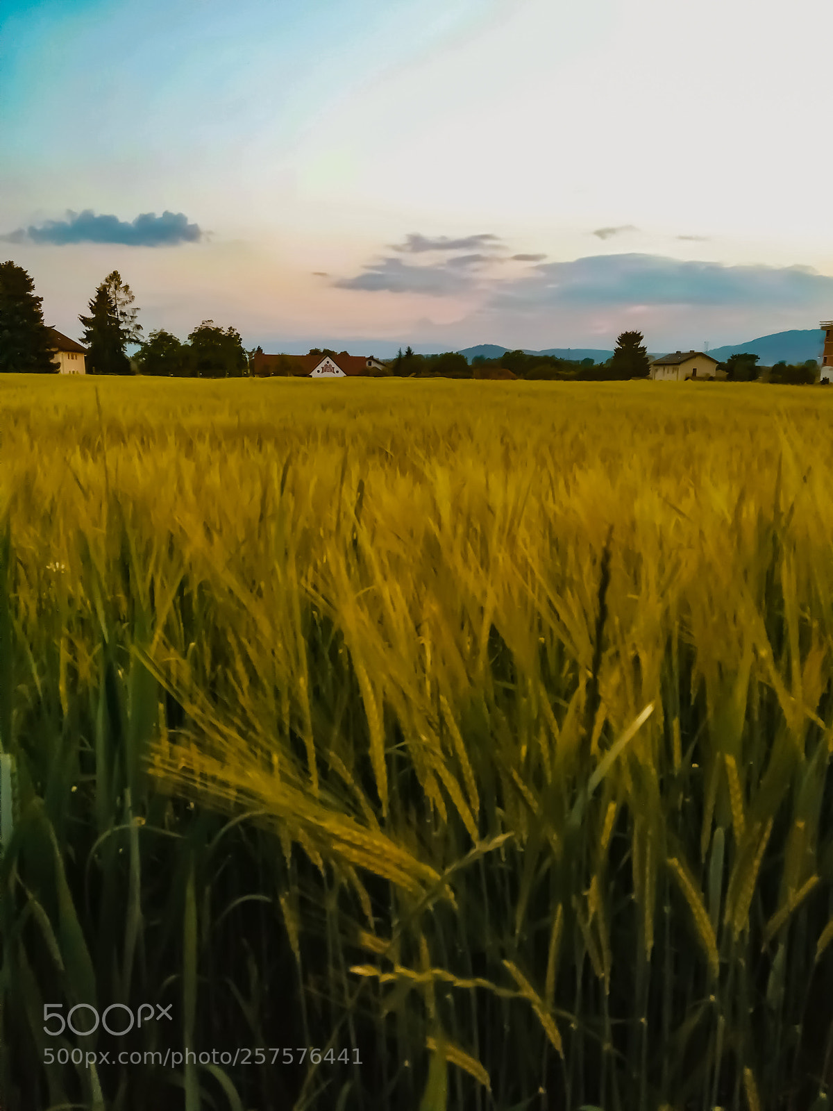 HUAWEI PRA-LX1 sample photo. Untitled photography