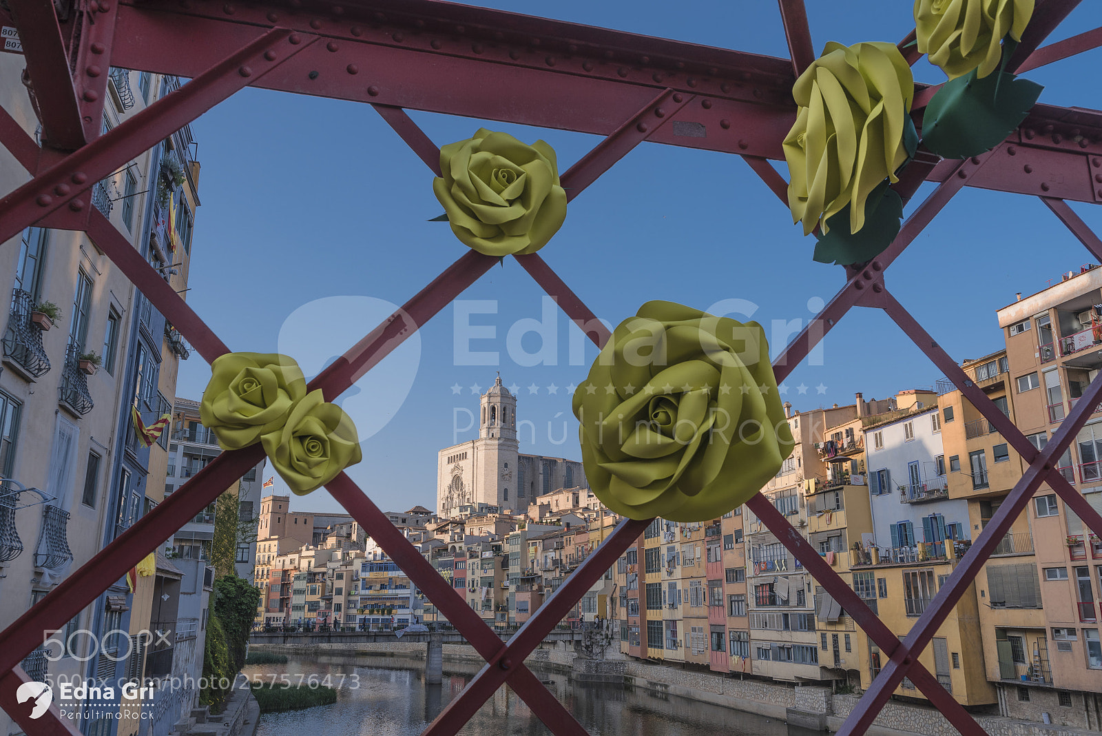 Nikon D750 sample photo. Temps de flors 2018 photography