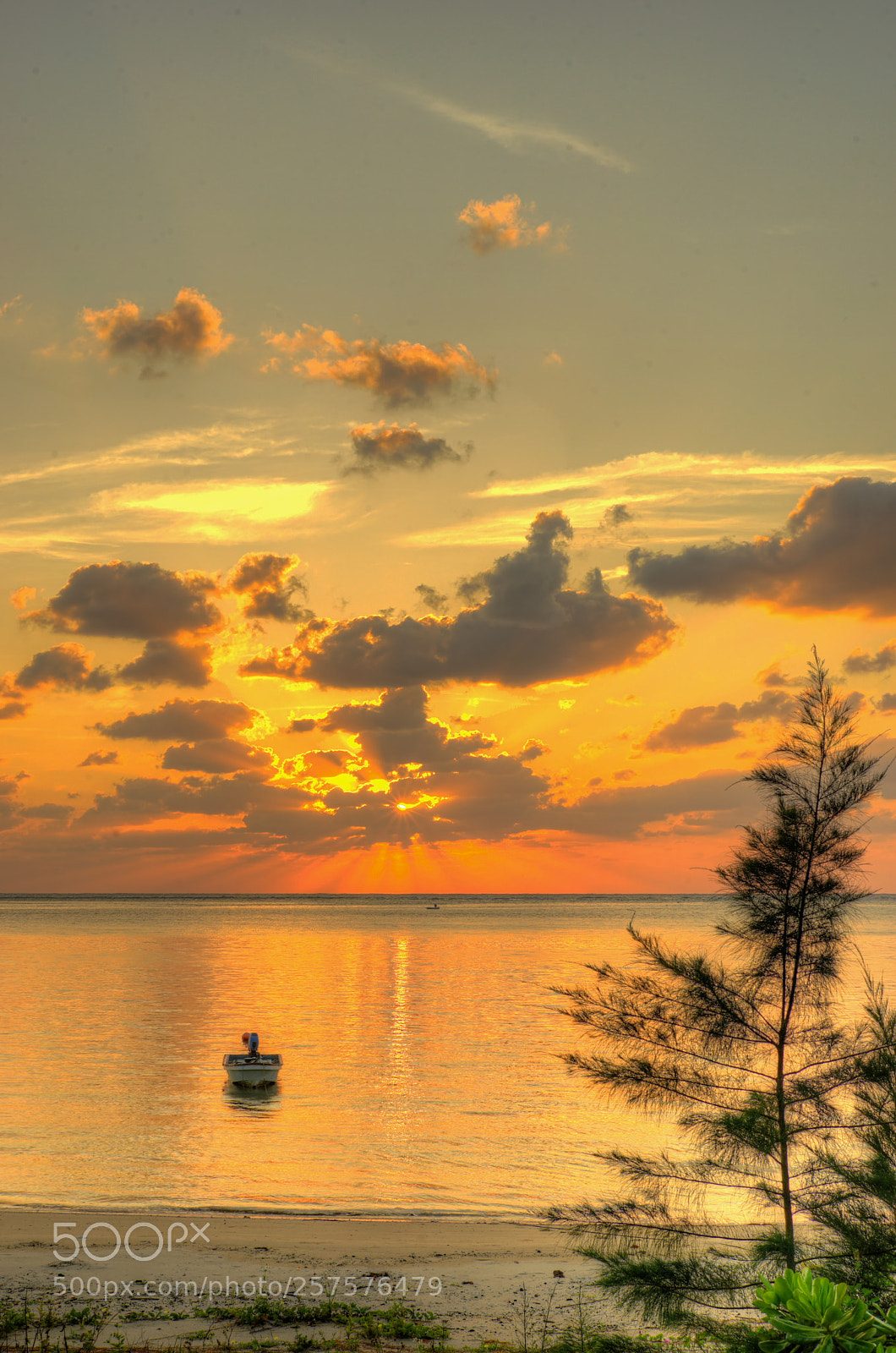Sony a7 II sample photo. The last sun rays photography